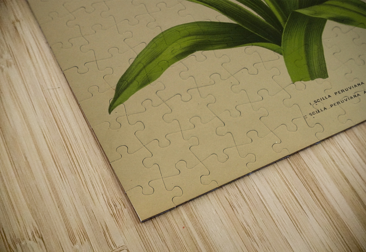 Album van Eeden : Haarlems flora : 1872-1881 IStockHistory com Puzzle