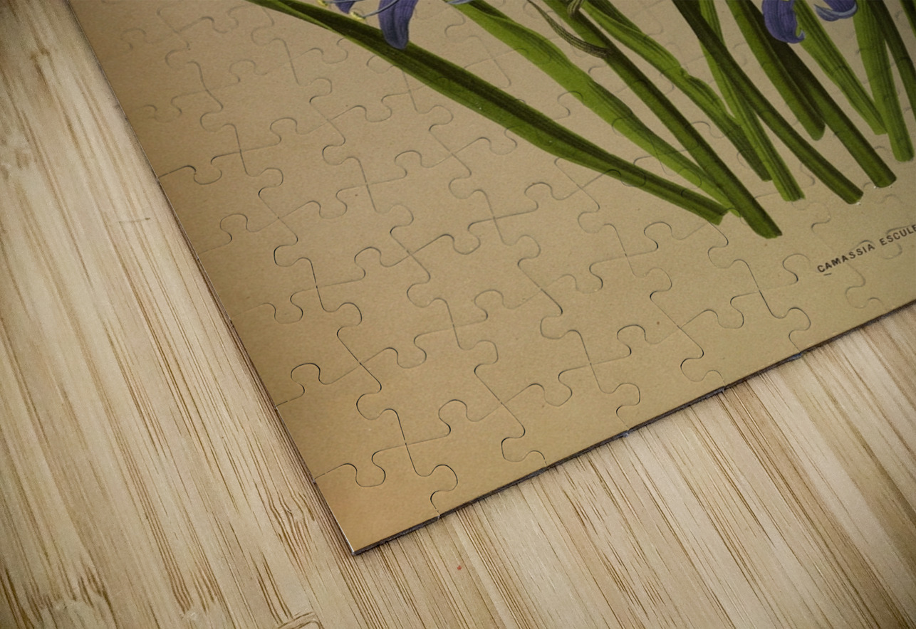 Album van Eeden : Haarlems flora : 1872-1881 IStockHistory com Puzzle