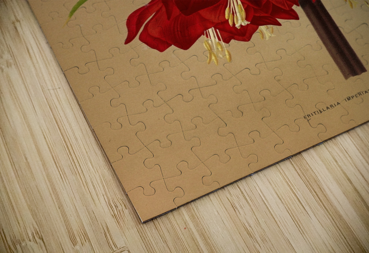 Album van Eeden : Haarlems flora : 1872-1881 IStockHistory com Puzzle