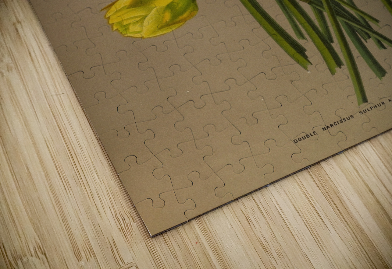 Album van Eeden : Haarlems flora : 1872-1881 IStockHistory com Puzzle