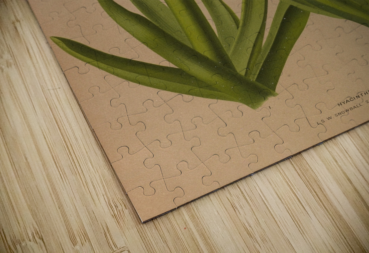 Album van Eeden : Haarlems flora : 1872-1881 IStockHistory com Puzzle