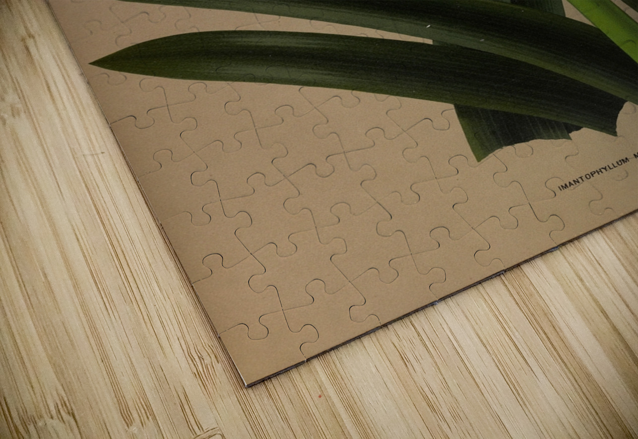 Album van Eeden : Haarlems flora : 1872-1881 IStockHistory com Puzzle