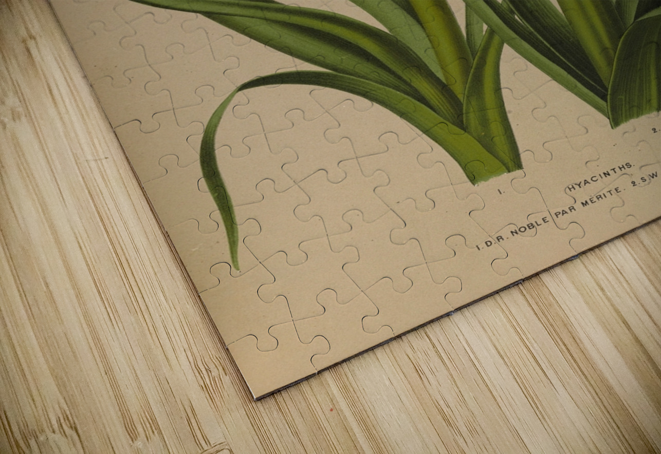 Album van Eeden : Haarlems flora : 1872-1881 IStockHistory com Puzzle