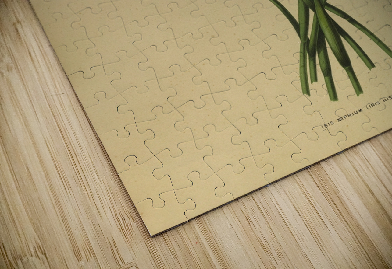 Album van Eeden : Haarlems flora : 1872-1881 IStockHistory com Puzzle