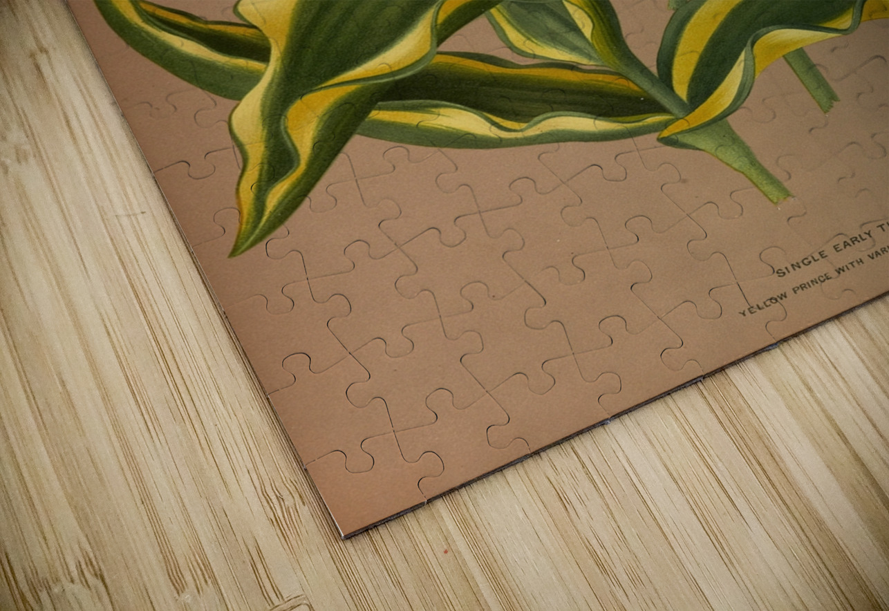 Album van Eeden : Haarlems flora : 1872-1881 IStockHistory com Puzzle