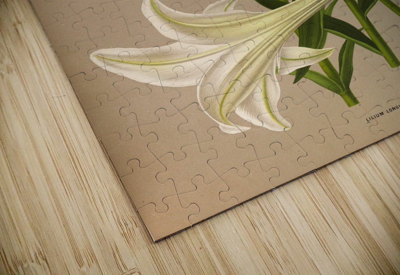 Album van Eeden : Haarlems flora : 1872-1881 IStockHistory com Puzzle