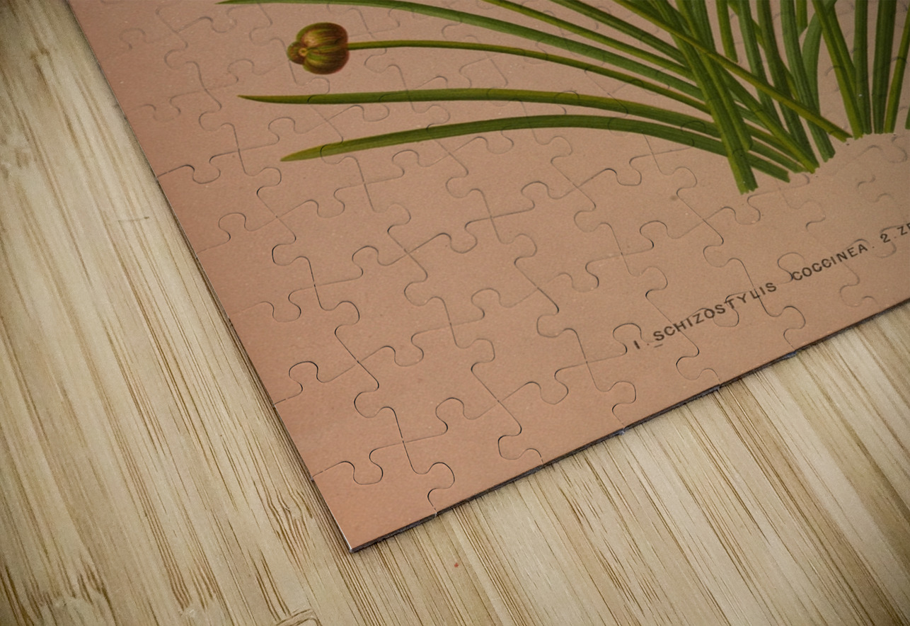 Album van Eeden : Haarlems flora : 1872-1881 IStockHistory com Puzzle