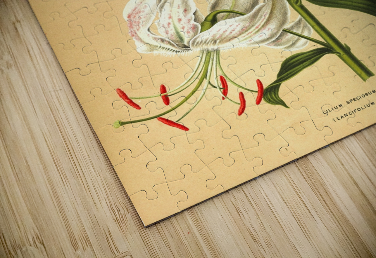 Album van Eeden : Haarlems flora : 1872-1881 IStockHistory com Puzzle