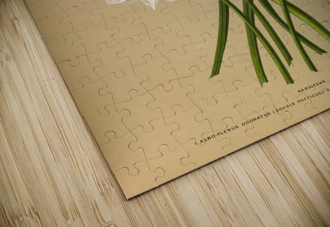 Album van Eeden : Haarlems flora : 1872-1881 IStockHistory com Puzzle