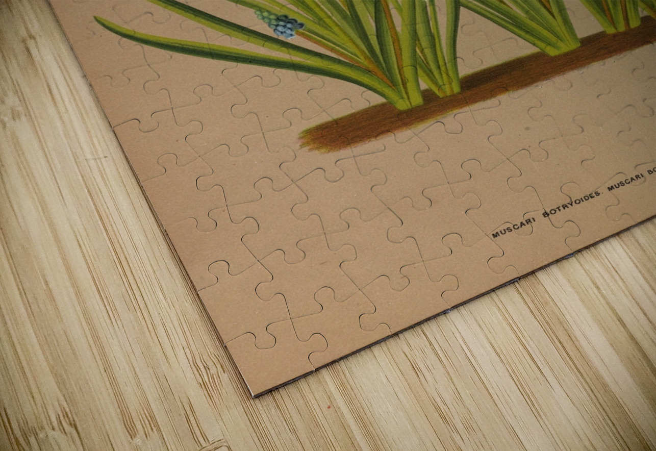 Album van Eeden : Haarlems flora : 1872-1881 IStockHistory com Puzzle