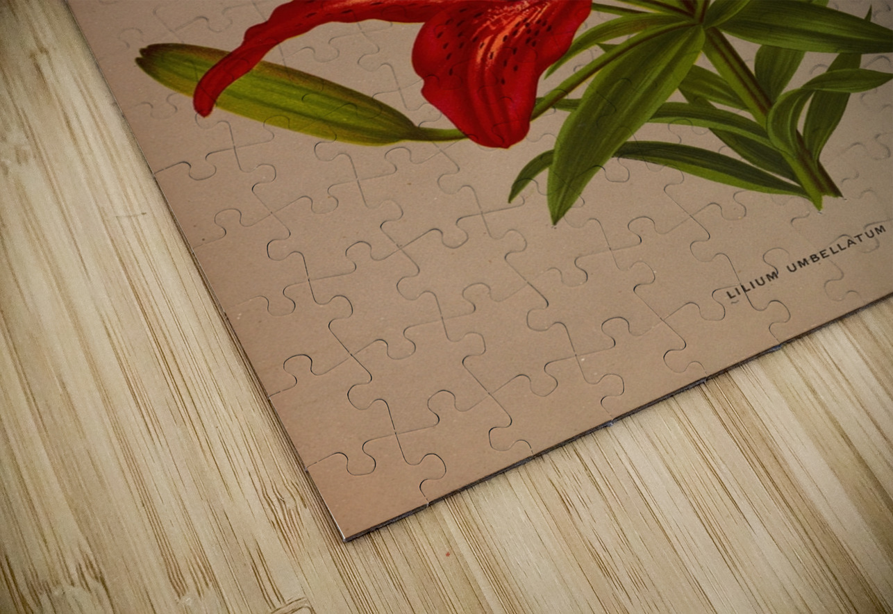 Album van Eeden : Haarlems flora : 1872-1881 IStockHistory com Puzzle