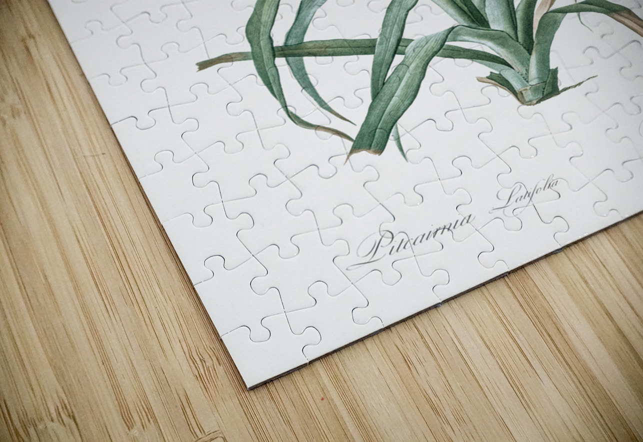 Pina cortadora illustration  IStockHistory com Puzzle