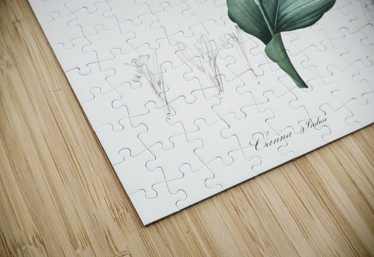 Indian shot illustration  IStockHistory com Puzzle