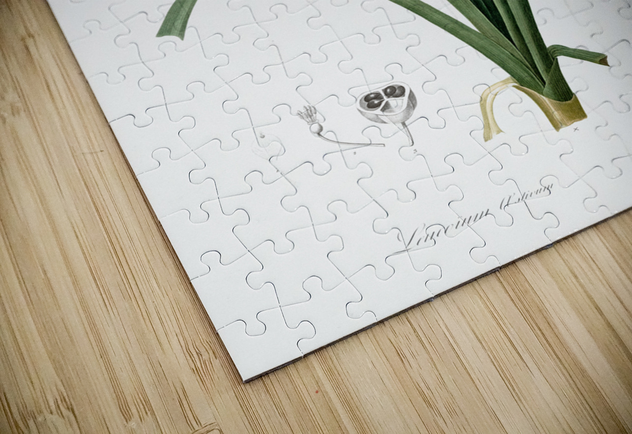 Summer snowflake illustration  IStockHistory com Puzzle