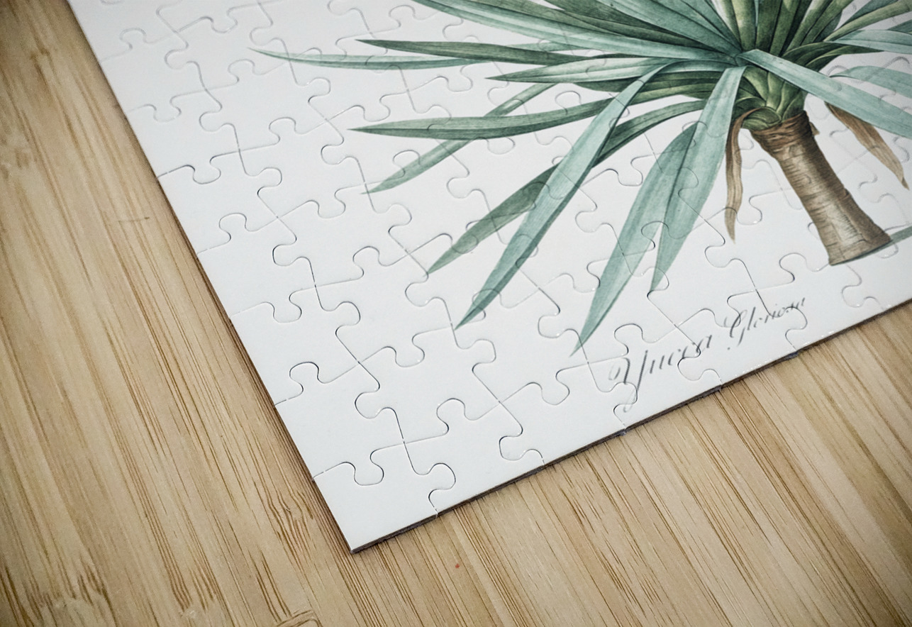 Adam needle illustration  IStockHistory com Puzzle