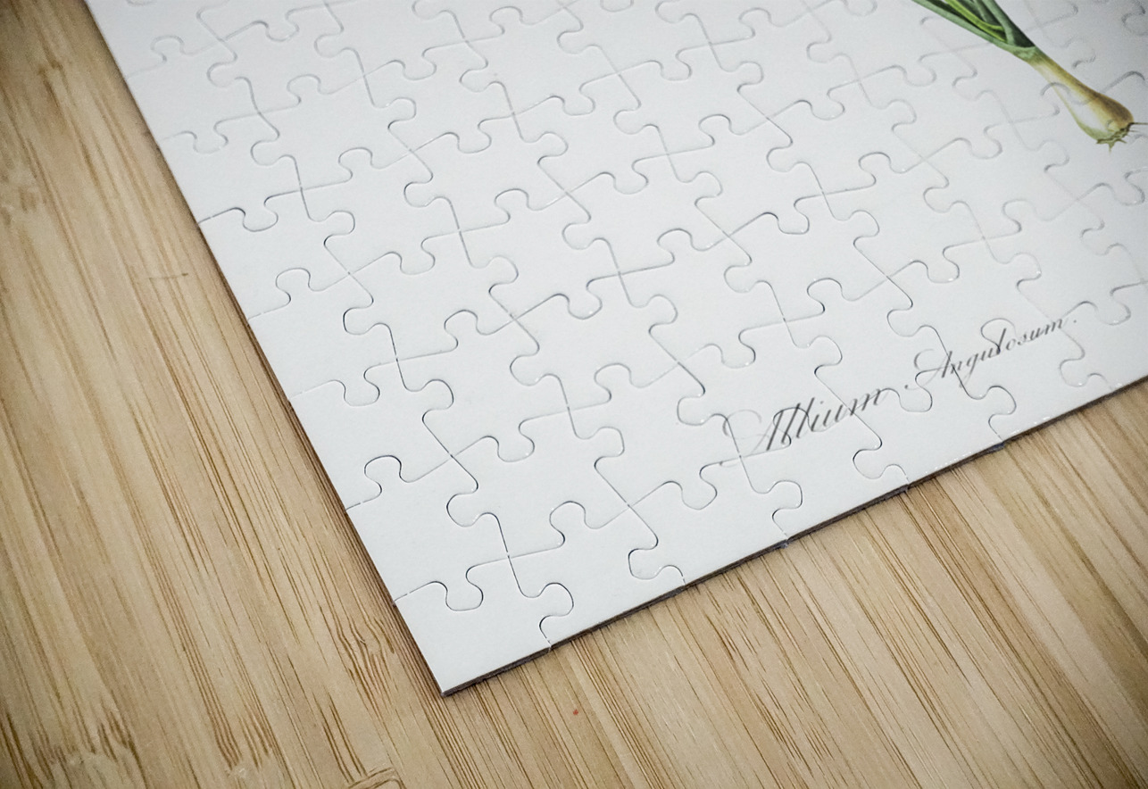 Mouse garlic illustration  IStockHistory com Puzzle