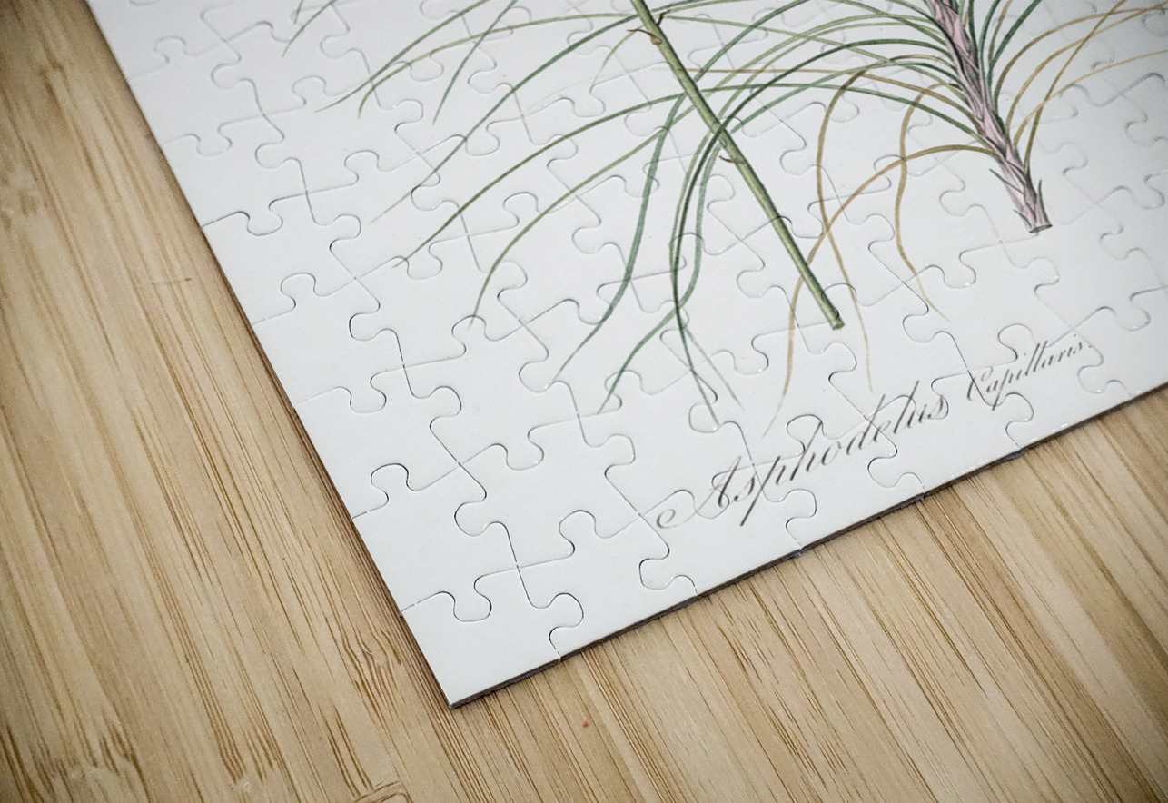 Jacob & rod illustration  IStockHistory com Puzzle