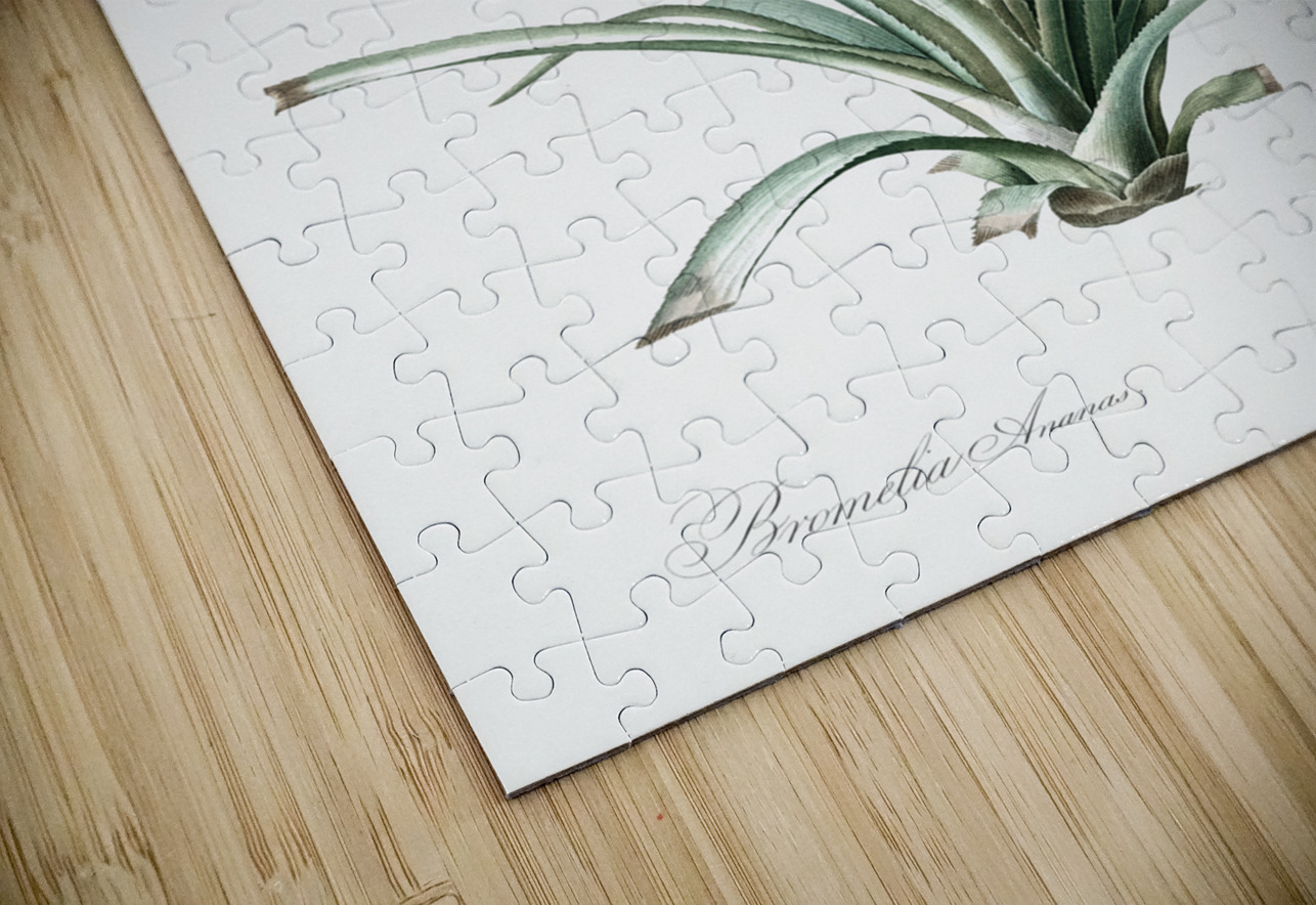 Pineapple illustration  IStockHistory com Puzzle
