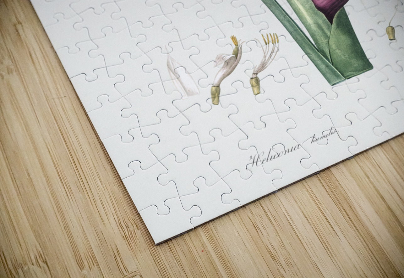 Brandlelie illustration  IStockHistory com Puzzle