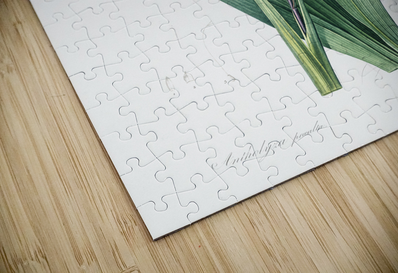 African flag illustration  IStockHistory com Puzzle