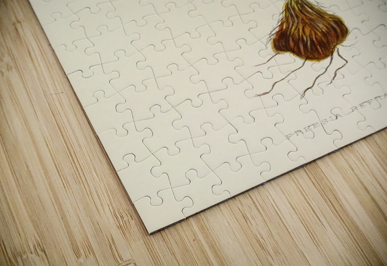 Freesia Refracta IStockHistory com Puzzle
