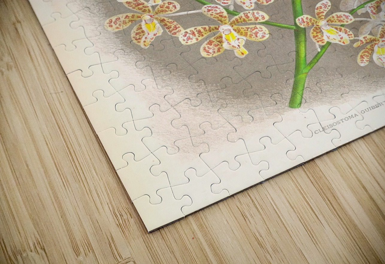 Cleisostoma Guiberti IStockHistory com Puzzle