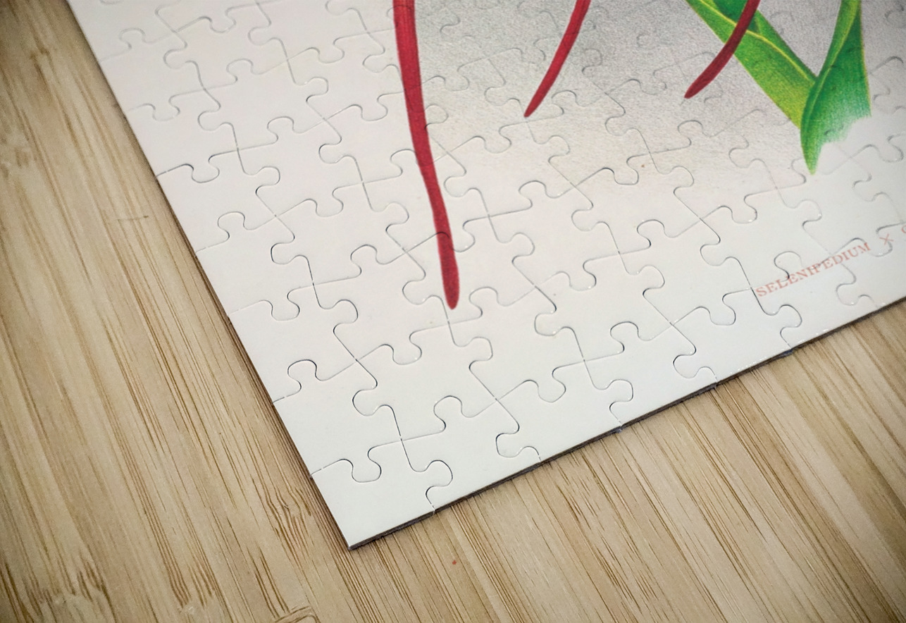 Selenipedium grande IStockHistory com Puzzle