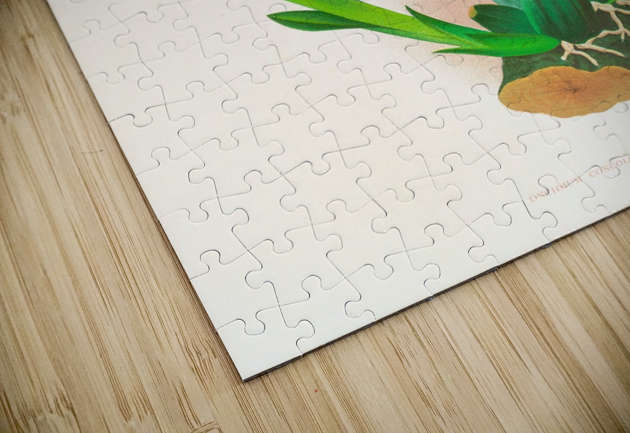Oncidium concolor IStockHistory com Puzzle