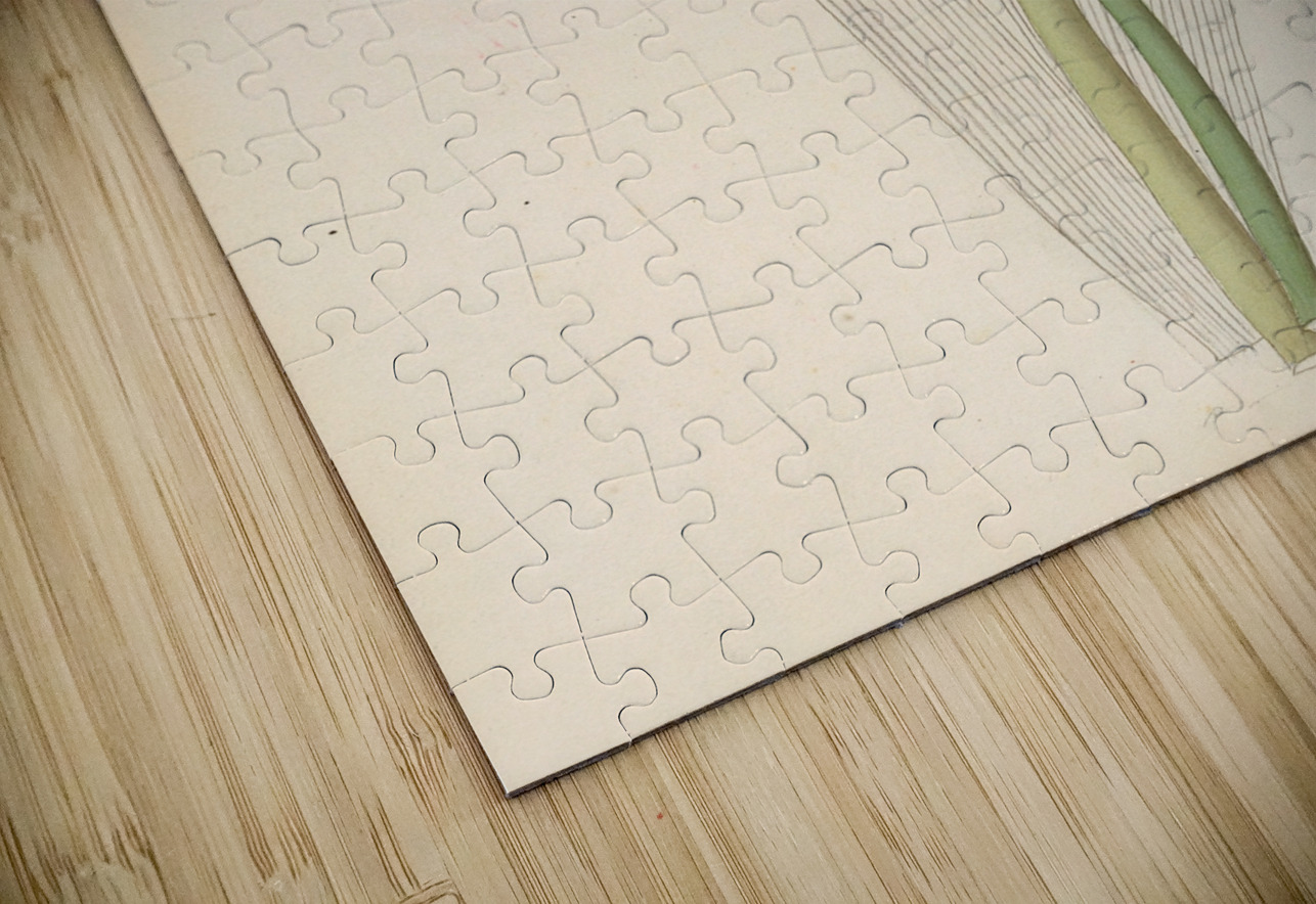 Cyrtanthus [Clivia nobilis] 1817 IStockHistory com Puzzle