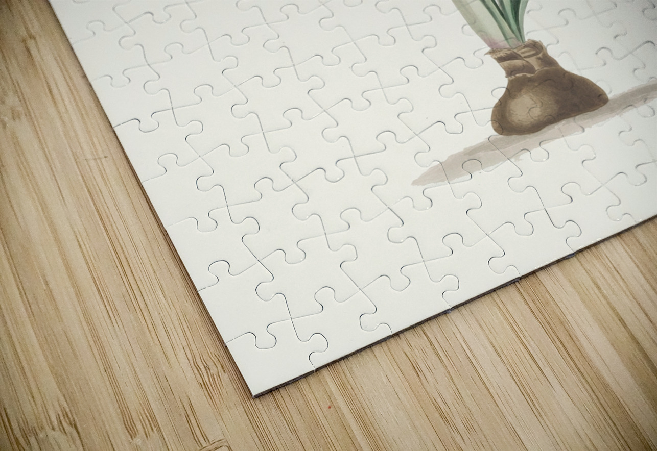 Amryllis Platypetala. 1834 IStockHistory com Puzzle