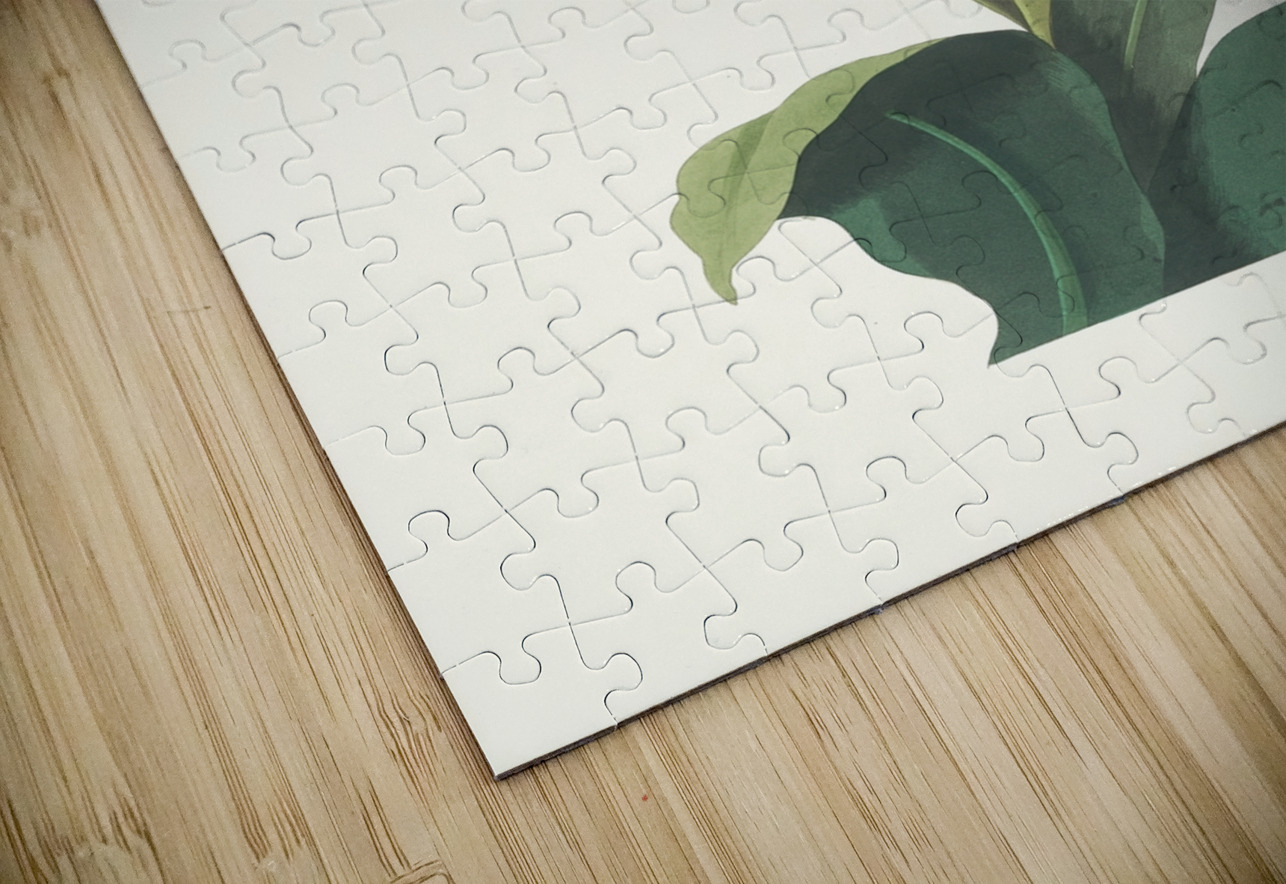 Pancratium Specidsum 1834 IStockHistory com Puzzle