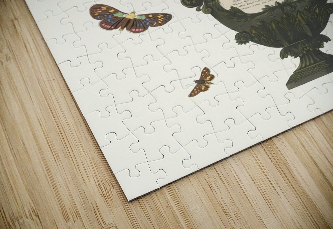 Lilium Tigrinum 1834 IStockHistory com Puzzle