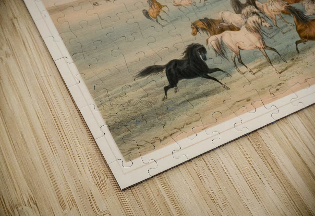 Wild Horses at Play 1844 IStockHistory com Puzzle