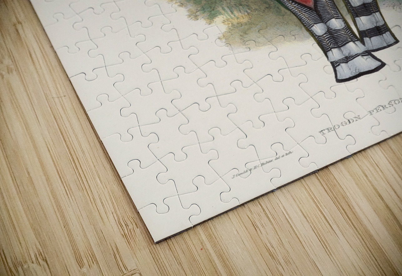 John Gould trogons 032 IStockHistory com Puzzle