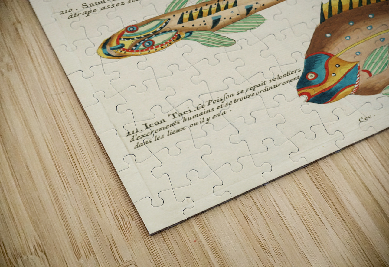 Colourful and surreal illustrations of fishes and crab found in Moluccas Indonesia and the East Indies by Louis Renard 1678 -1746 from Histoire naturelle des plus rares curiositez de la mer des Indes 1754. IStockHistory com Puzzle