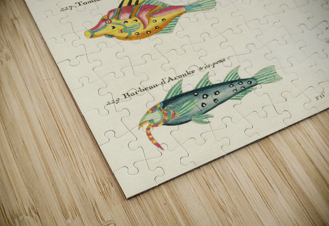 Colourful and surreal illustrations of fishes lobsters and crab found in Moluccas Indonesia and the East Indies by Louis Renard 1678 -1746 from Histoire naturelle des plus rares curiositez de la mer des Indes 1754. IStockHistory com Puzzle