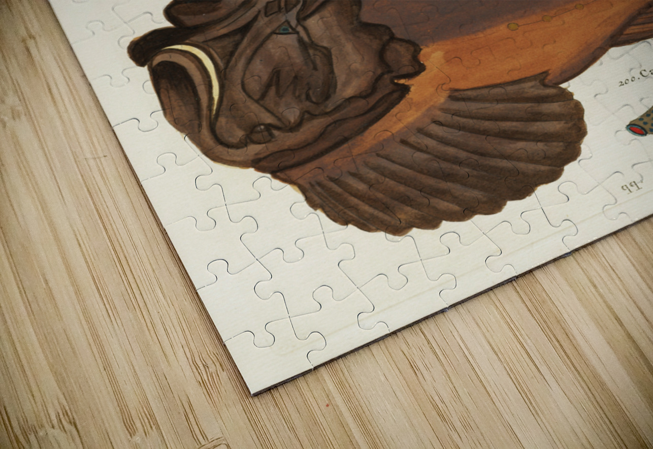 Colourful and surreal illustrations of fishes found in Moluccas Indonesia and the East Indies by Louis Renard 1678 -1746 from Histoire naturelle des plus rares curiositez de la mer des Indes 1754. IStockHistory com Puzzle