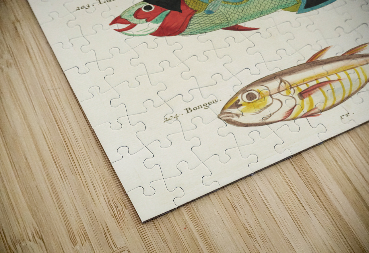 Colourful and surreal illustrations of fishes found in Moluccas Indonesia and the East Indies by Louis Renard 1678 -1746 from Histoire naturelle des plus rares curiositez de la mer des Indes 1754. IStockHistory com Puzzle