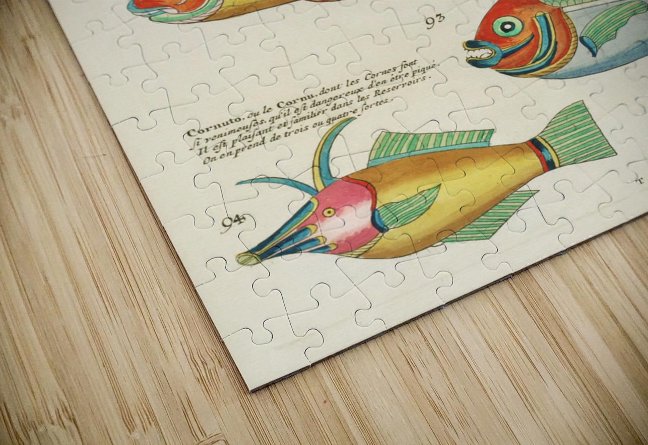 Colourful and surreal illustrations of fishes found in Moluccas Indonesia and the East Indies by Louis Renard 1678 -1746 from Histoire naturelle des plus rares curiositez de la mer des Indes 1754. IStockHistory com Puzzle