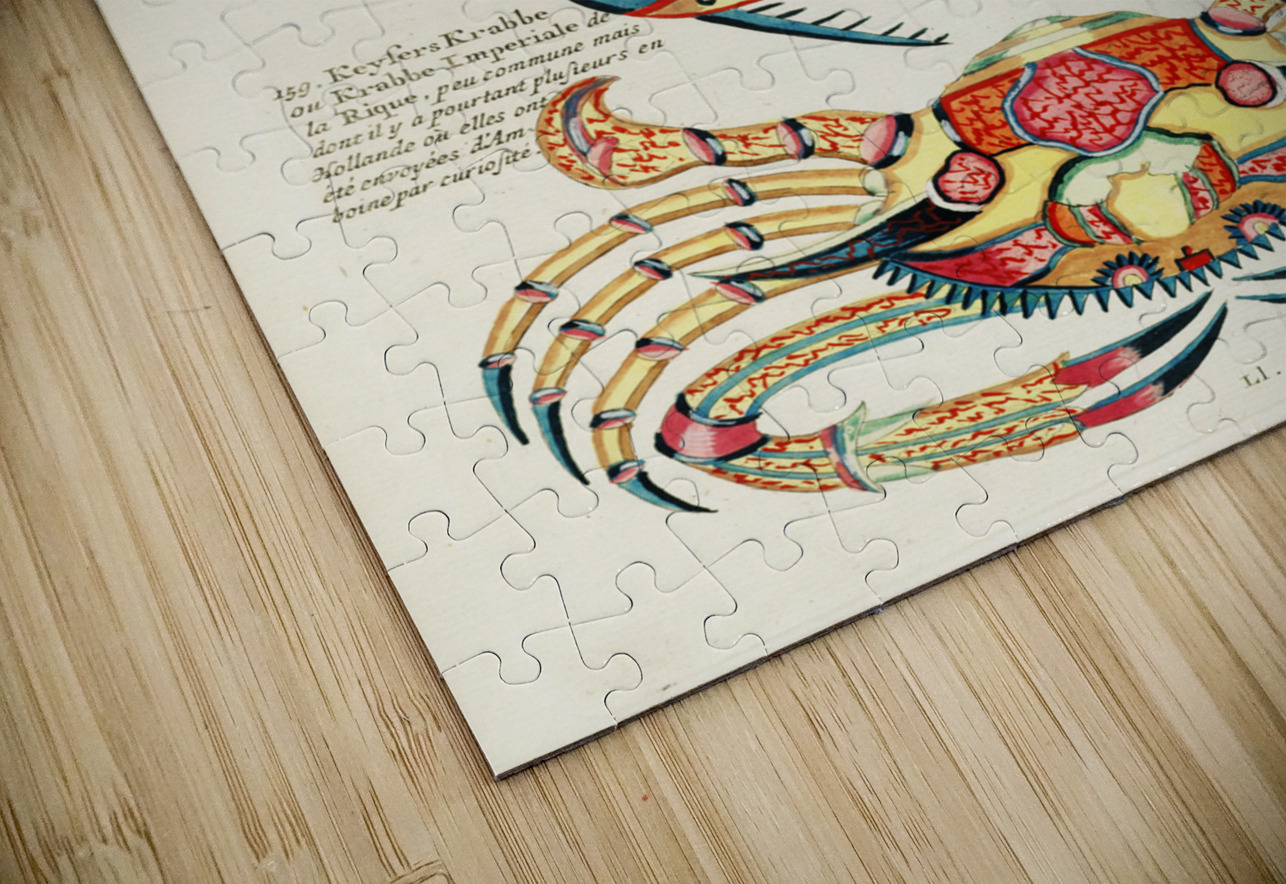 Colourful and surreal illustrations of fishes and crab found in the Indian and Pacific Oceans by Louis Renard 1678 -1746 from Histoire naturelle des plus rares curiositez de la mer des Indes 1754. IStockHistory com Puzzle