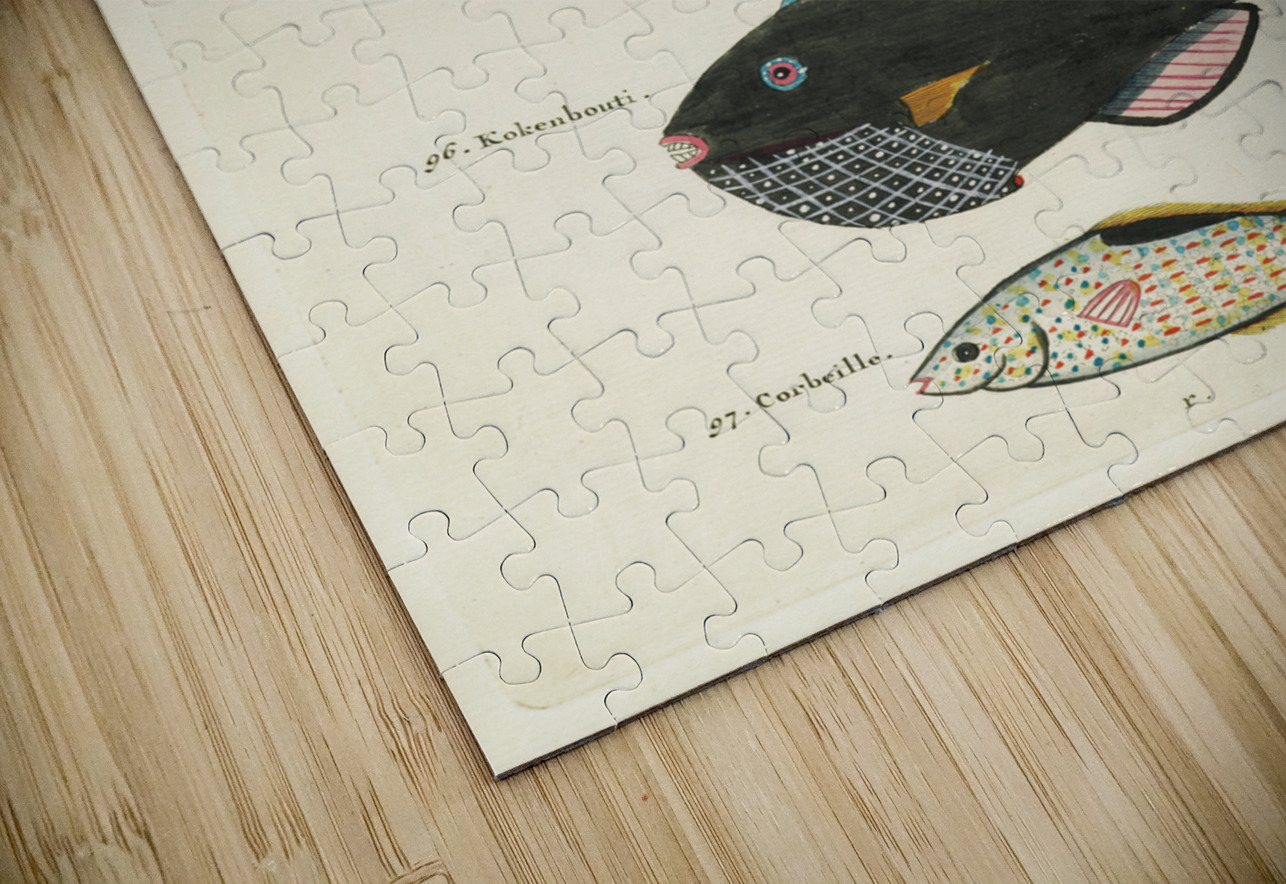 Colourful and surreal illustrations of fishes found in Moluccas Indonesia and the East Indies by Louis Renard 1678 -1746 from Histoire naturelle des plus rares curiositez de la mer des Indes 1754. IStockHistory com Puzzle