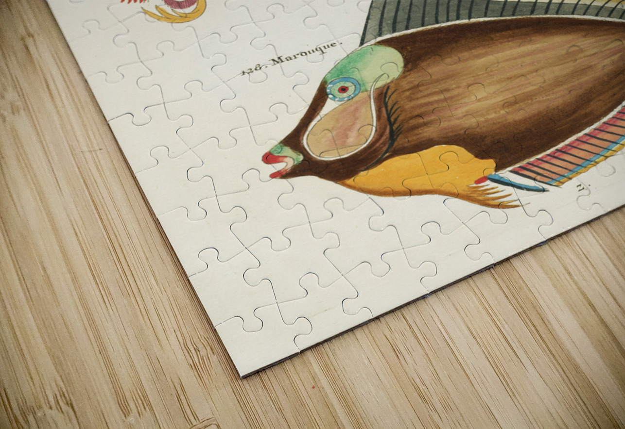 Colourful and surreal illustrations of fishes and lobster found in Moluccas Indonesia and the East Indies by Louis Renard 1678 -1746 from Histoire naturelle des plus rares curiositez de la mer des Indes 1754. IStockHistory com Puzzle