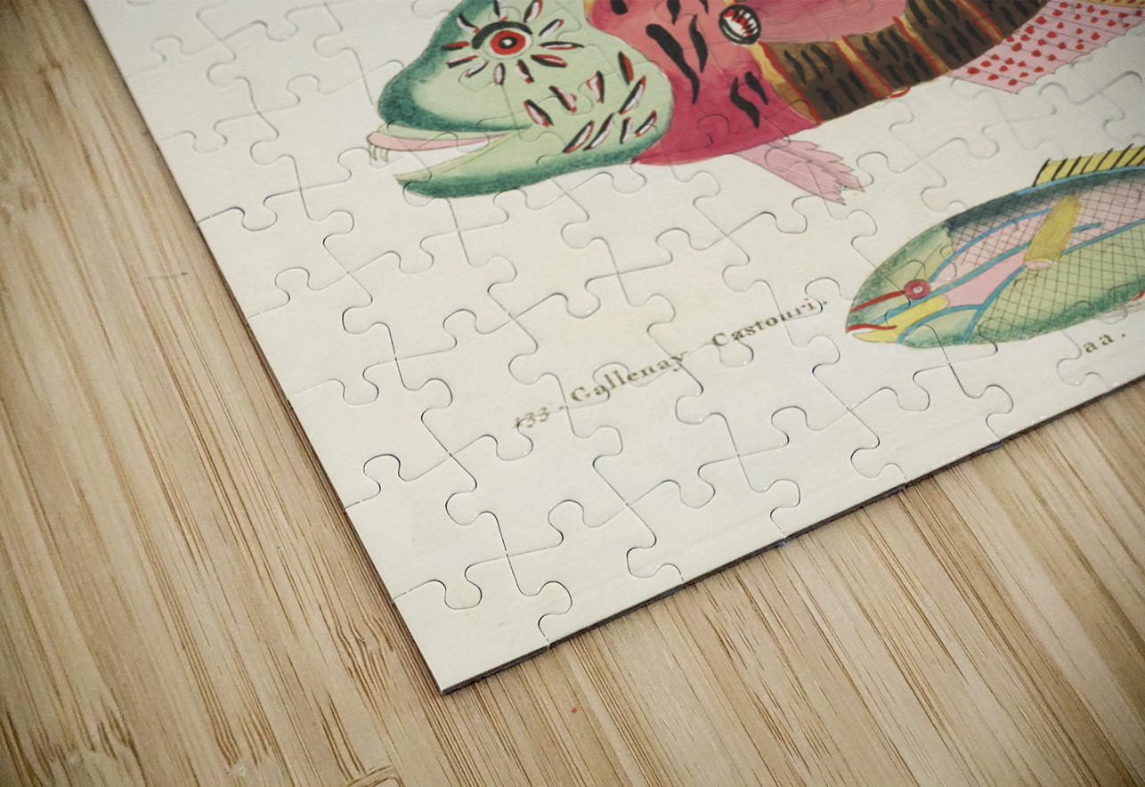 Colourful and surreal illustrations of fishes found in Moluccas Indonesia and the East Indies by Louis Renard 1678 -1746 from Histoire naturelle des plus rares curiositez de la mer des Indes 1754. IStockHistory com Puzzle