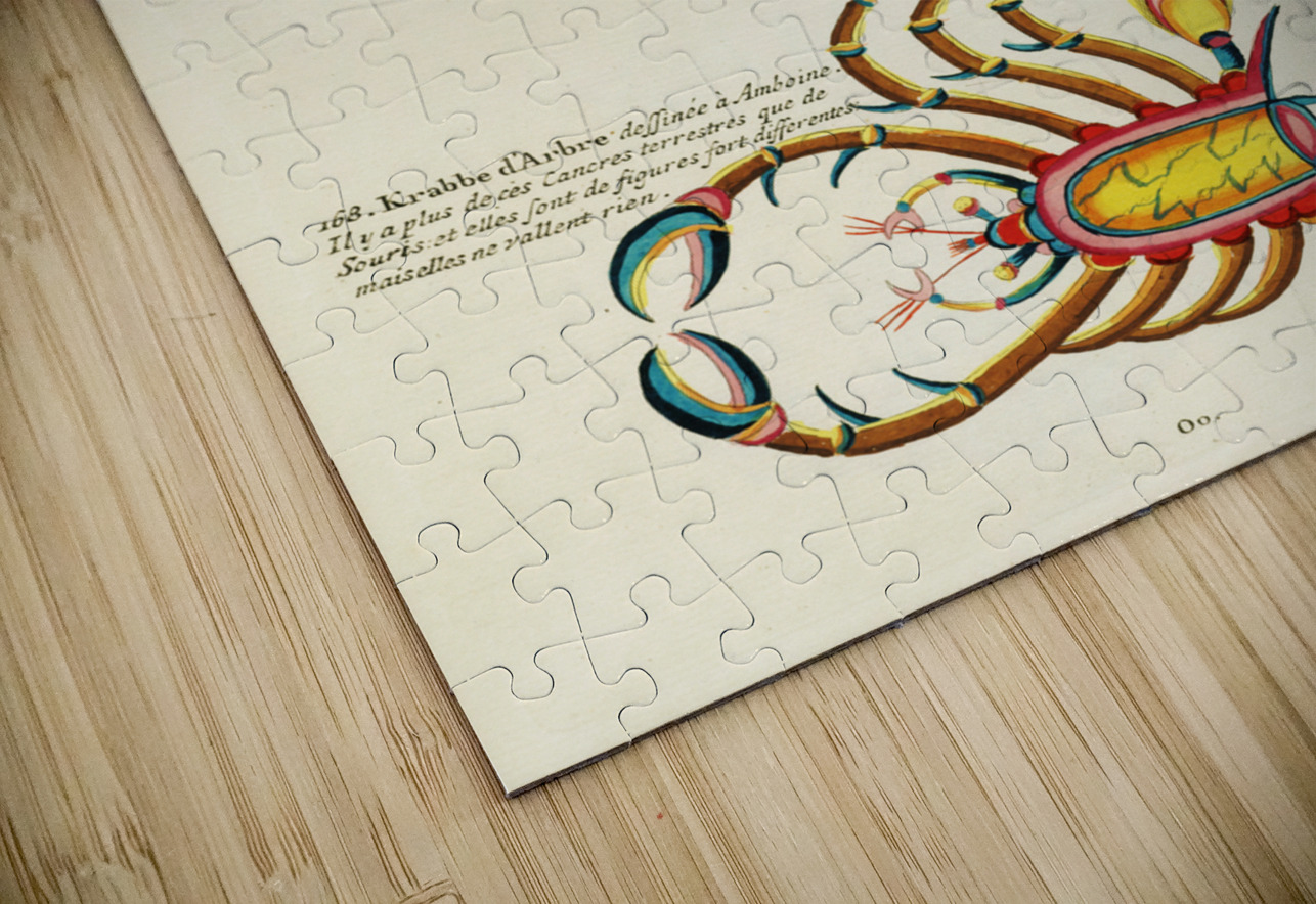 Colourful and surreal illustrations of fishes and crabs found in Moluccas Indonesia and the East Indies by Louis Renard 1678 -1746 from Histoire naturelle des plus rares curiositez de la mer des Indes 1754. IStockHistory com Puzzle