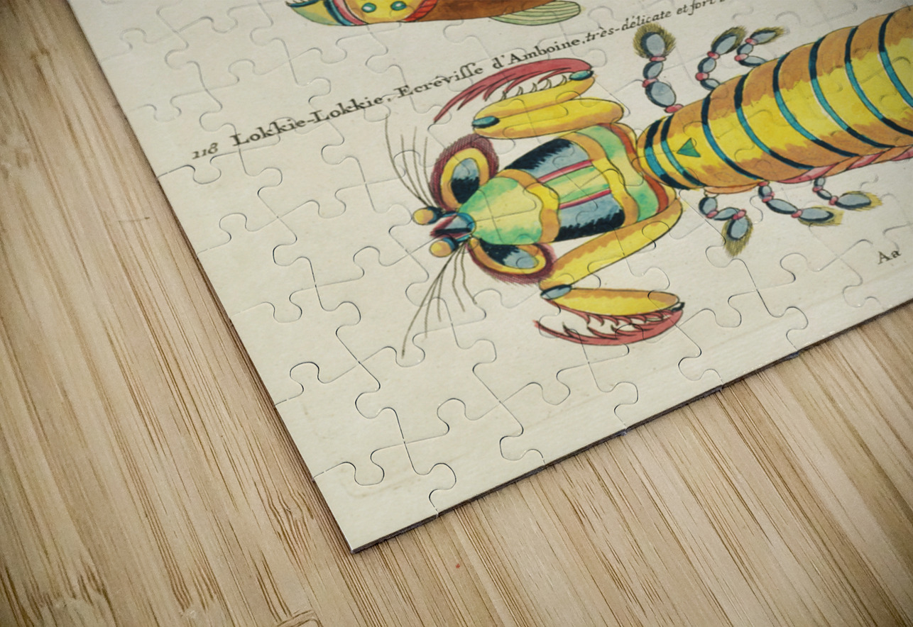 Colourful and surreal illustrations of fishes and other marine life found in Moluccas Indonesia and the East Indies by Louis Renard 1678 -1746 from Histoire naturelle des plus rares curiositez de la mer des Indes 1754. IStockHistory com Puzzle