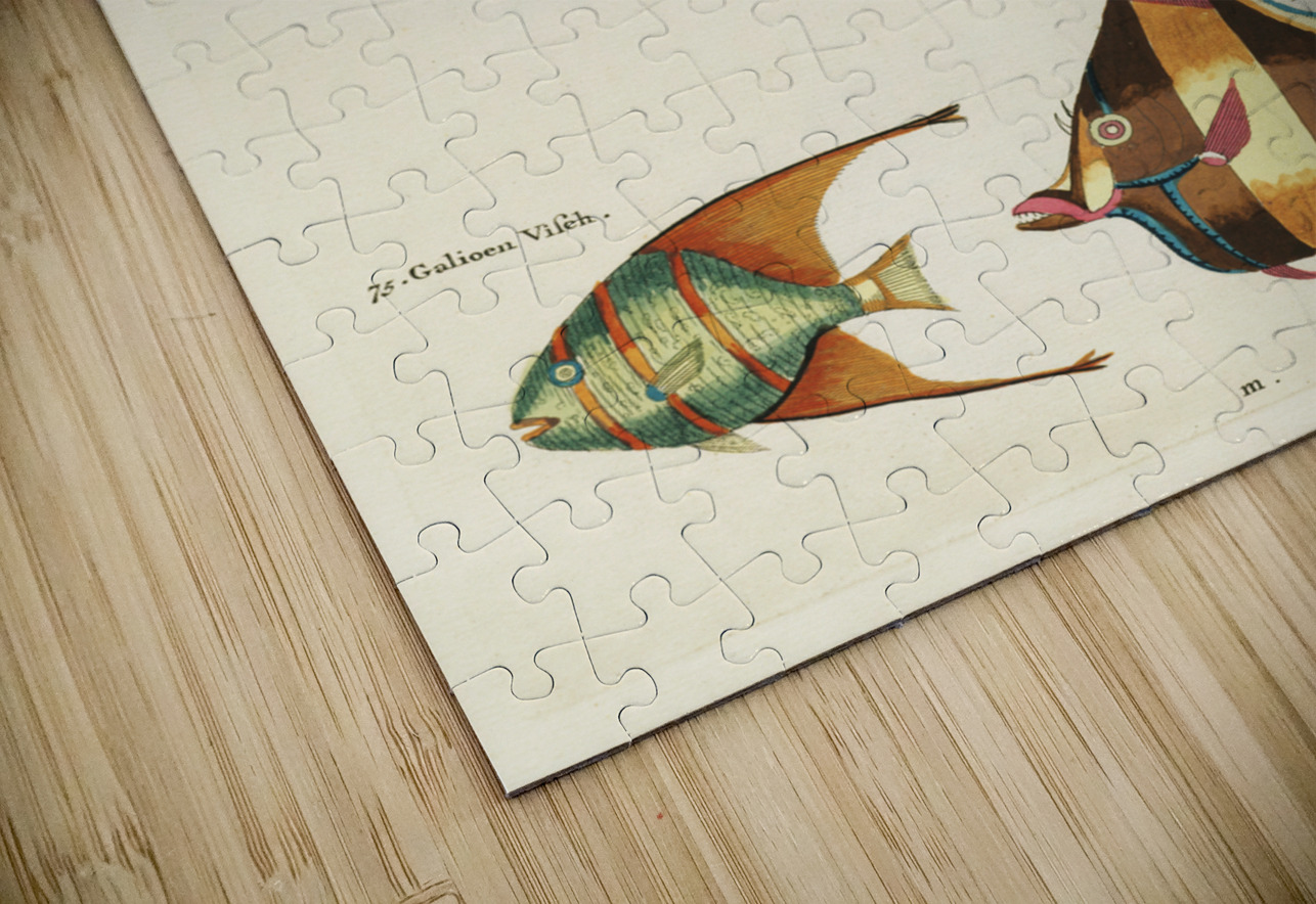 Colourful and surreal illustrations of fishes found in Moluccas Indonesia and the East Indies by Louis Renard 1678 -1746 from Histoire naturelle des plus rares curiositez de la mer des Indes 1754. IStockHistory com Puzzle