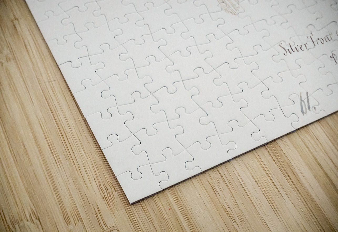 Antique fish galaxias gracilis dwarf inanga South Pacific Fishes by Frank Edward Clarke 1849-1899.  IStockHistory com Puzzle