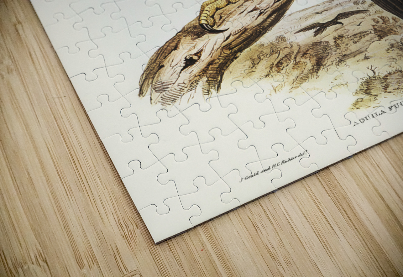 Wedge-tailed Eagle Aquila focosa illustrated by Elizabeth Gould 1804–1841 for John Gould’s 1804-1881 Birds of Australia  IStockHistory com Puzzle