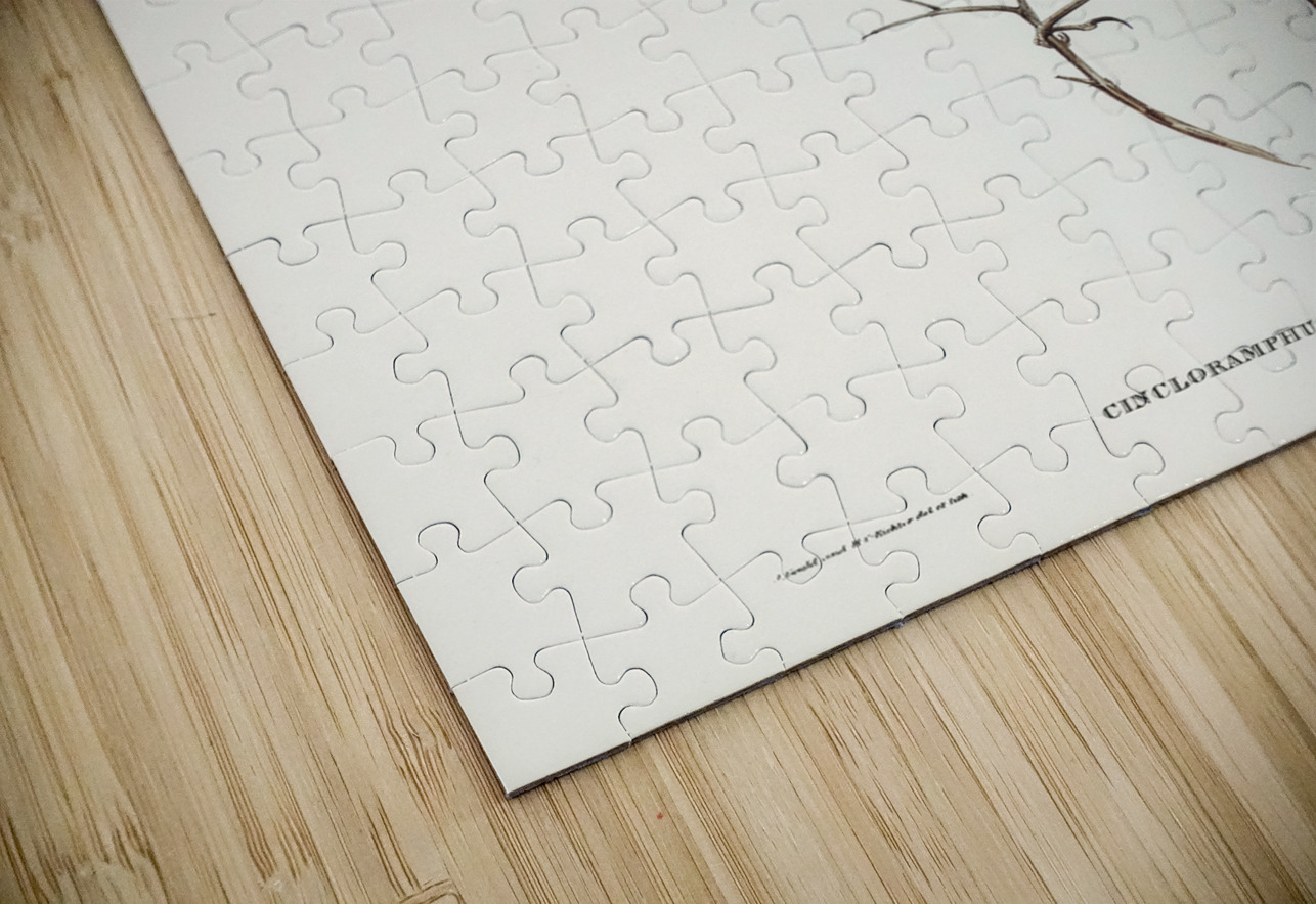 Black-breasted Songlark Cincloramphus cantillans illustrated by Elizabeth Gould 1804–1841 for John Gould’s 1804-1881 Birds of Australia  IStockHistory com Puzzle