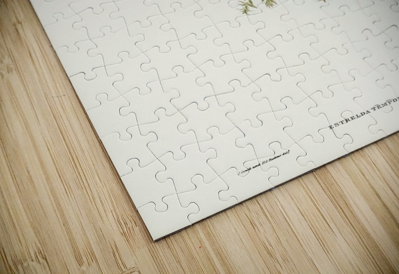 Red-eyebrowed Finch Estrelda temporalis  illustrated by Elizabeth Gould 1804–1841 for John Gould’s 1804-1881 Birds of Australia  IStockHistory com Puzzle